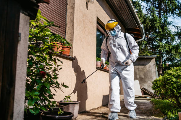Best Rat Extermination Near Me  in Villas, FL