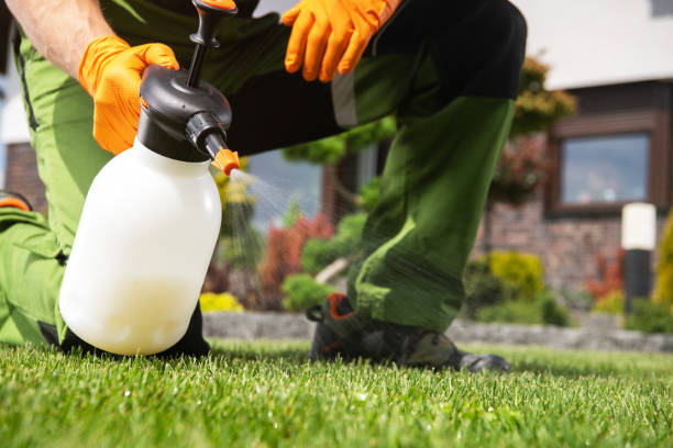 Best Best Pest Control Companies  in Villas, FL