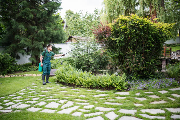 Best Pest Prevention Services  in Villas, FL