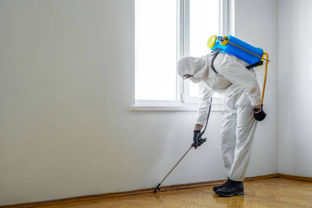 Best Cockroach Control Services  in Villas, FL