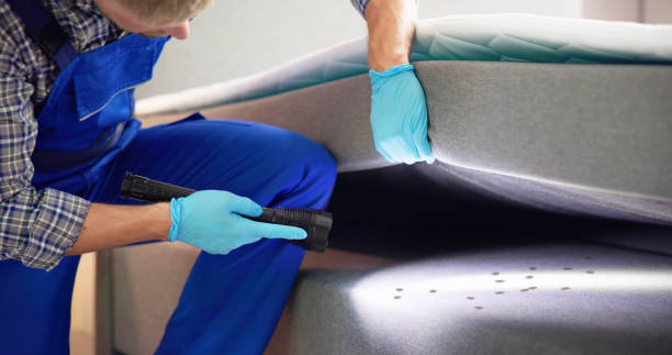 Best Commercial Pest Control Services  in Villas, FL
