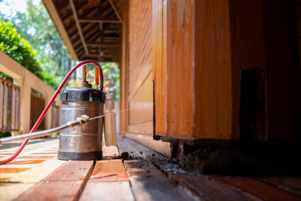 Best Mosquito Control Services  in Villas, FL