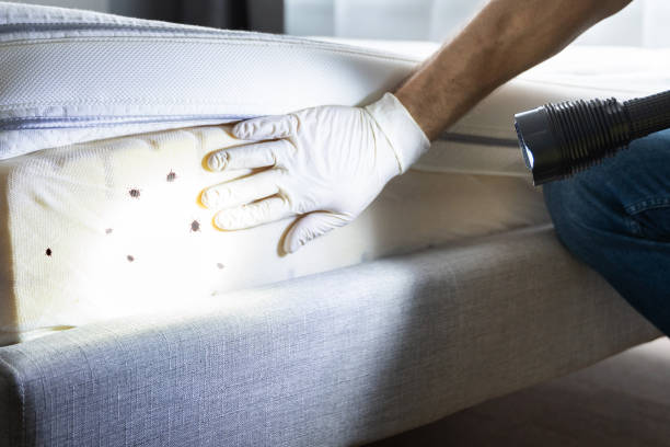 Best Insect Control  in Villas, FL