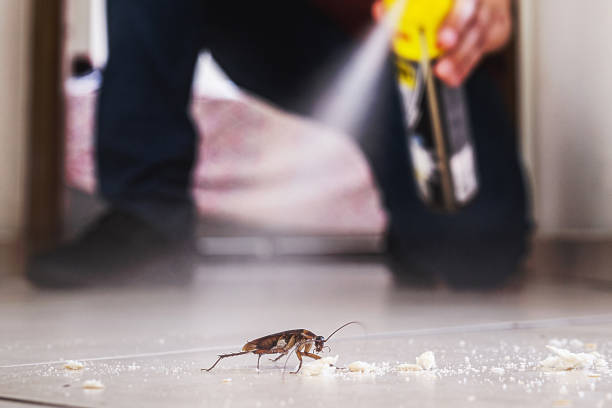 Best Bed Bug Extermination  in Villas, FL