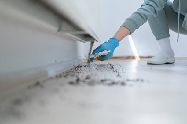 Trusted Villas, FL Pest Control Experts