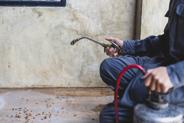 Best Residential Pest Control  in Villas, FL